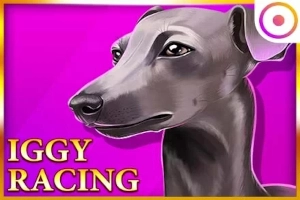 Арт слота Iggy Racing